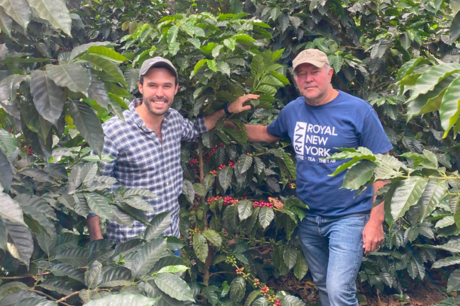 El Salvador El Picacho RFA — Seven Hills Coffee Roasters